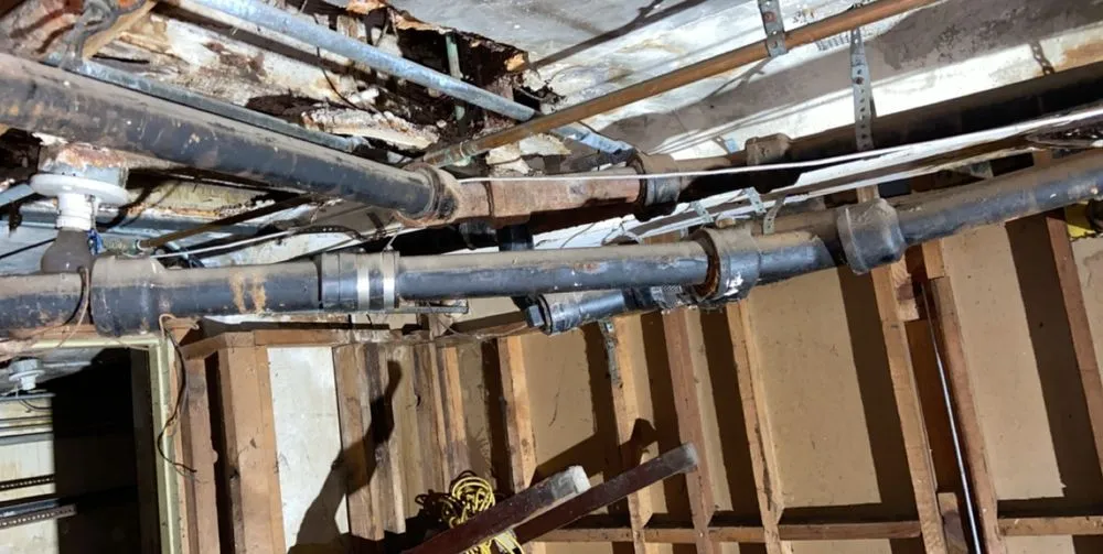 Expert lawn care service near you across Tracy, CA - Jose’s Handywork