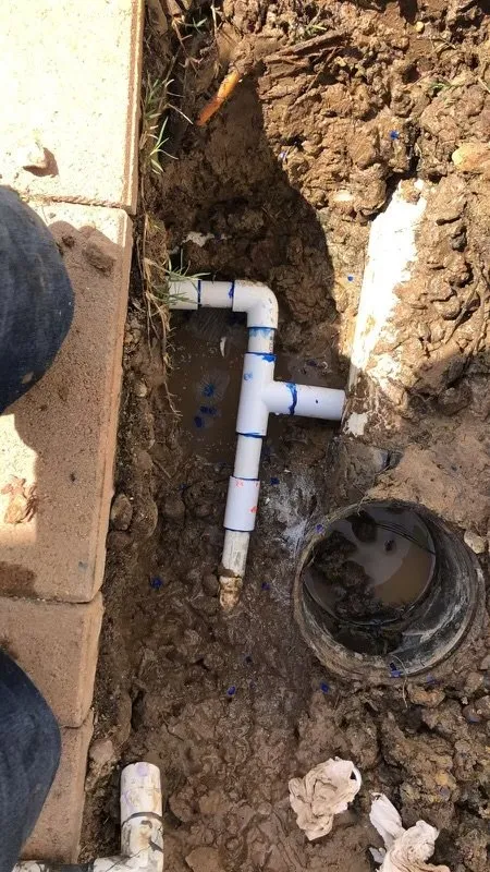 Expert yard cleanup service experts serving Encinitas, CA - Jose’s Irrigation Service And Drainage