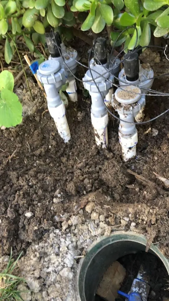 Local landscape installation for year-round maintenance in Encinitas, CA by Jose’s Irrigation Service And Drainage