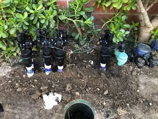 Local landscape design for outdoor upgrades in Encinitas, CA by Jose’s Irrigation Service And Drainage