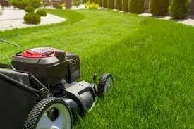 Custom yard cleanup service experts serving Colorado Springs, CO - Jose's Land Mower