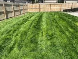 Local outdoor landscaping experts serving Colorado Springs, CO - Jose's Land Mower