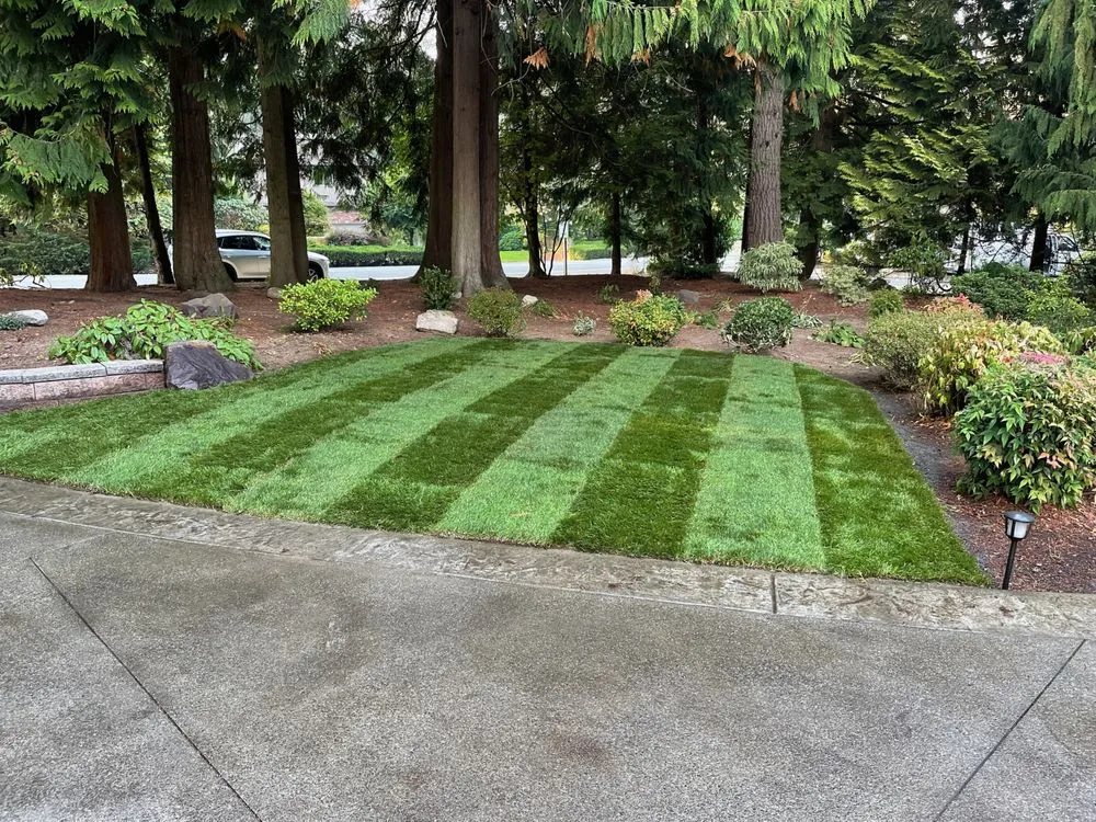 Local lawn mowing service in Bothell, WA - Jose's Landscape & Maintenance