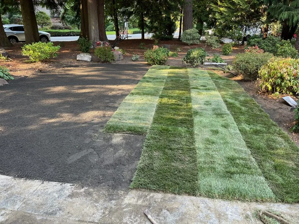 Top-rated landscape installation in Bothell, WA - Jose's Landscape & Maintenance