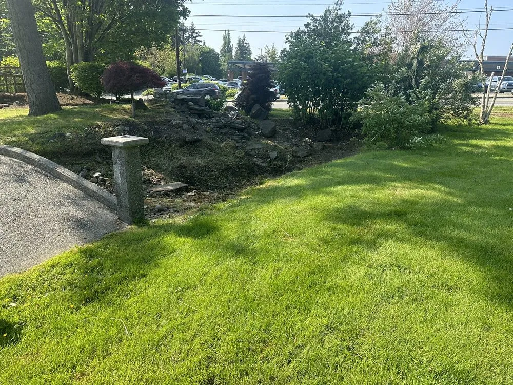 Reliable yard cleanup service experts serving Bothell, WA - Jose's Landscape & Maintenance