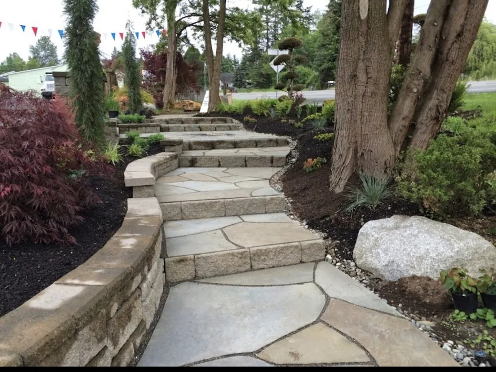 Local yard cleanup service experts serving Bothell, WA - Jose's Landscape & Maintenance