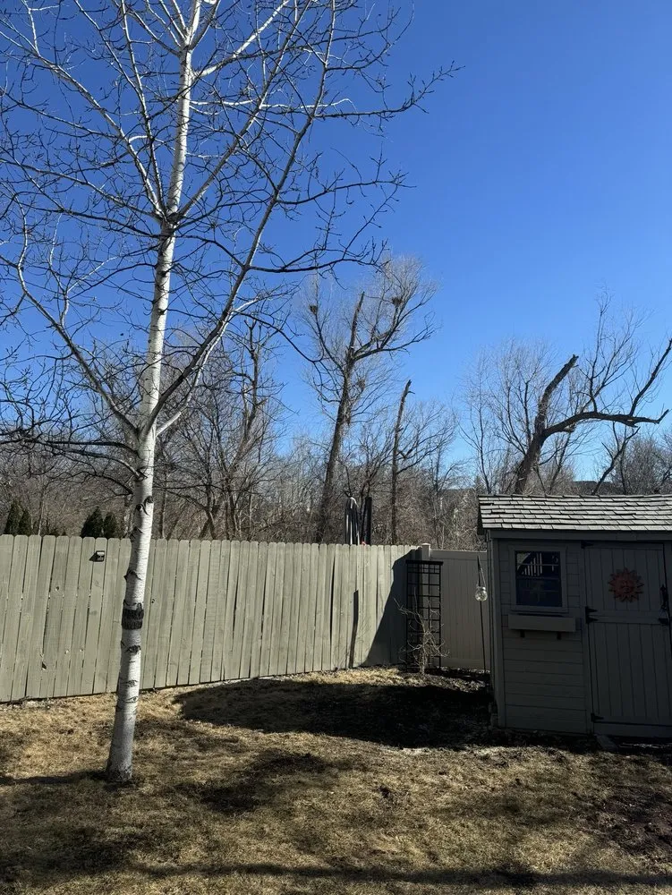 Reliable yard cleanup service for residential properties in Des Moines, IA by Jose’s Landscape