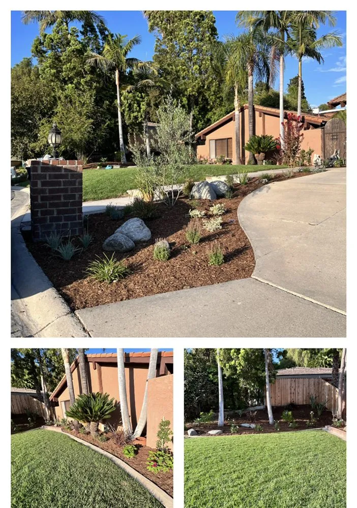 Top-rated yard maintenance in Orange, CA by Jose’s Landscape Hardscape