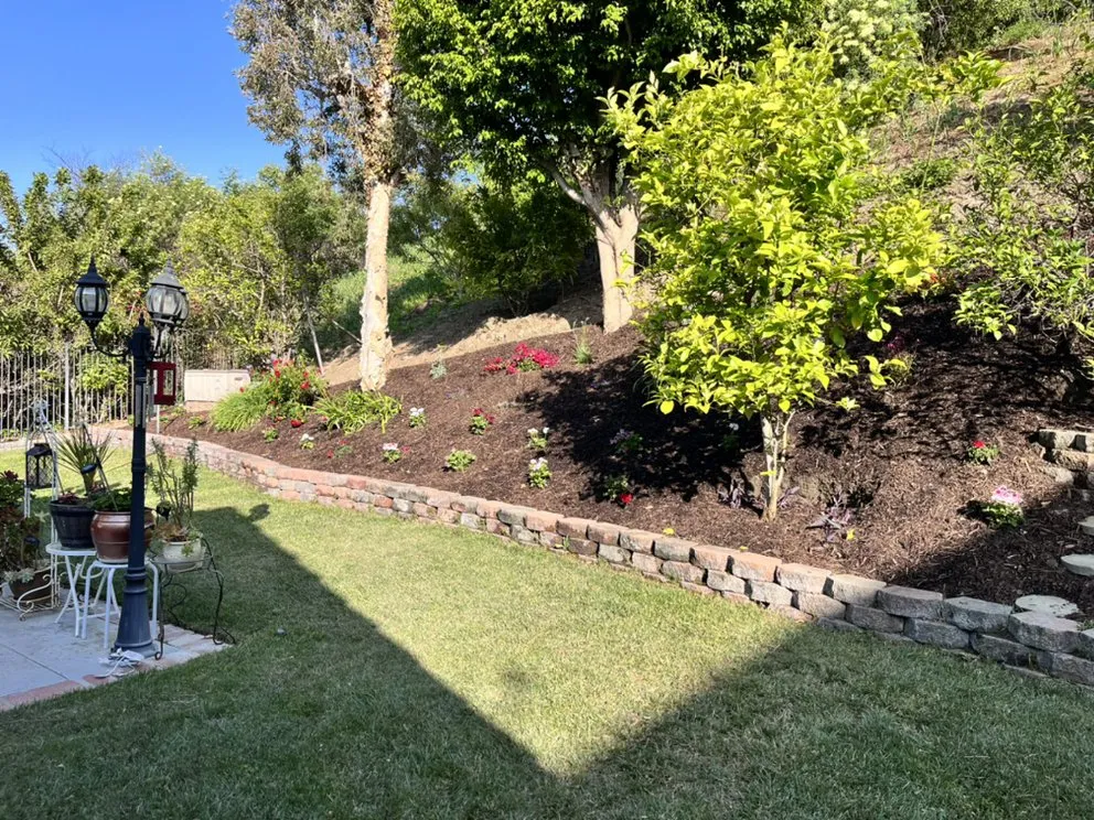 Expert yard cleanup service in Orange, CA - Jose’s Landscape Hardscape