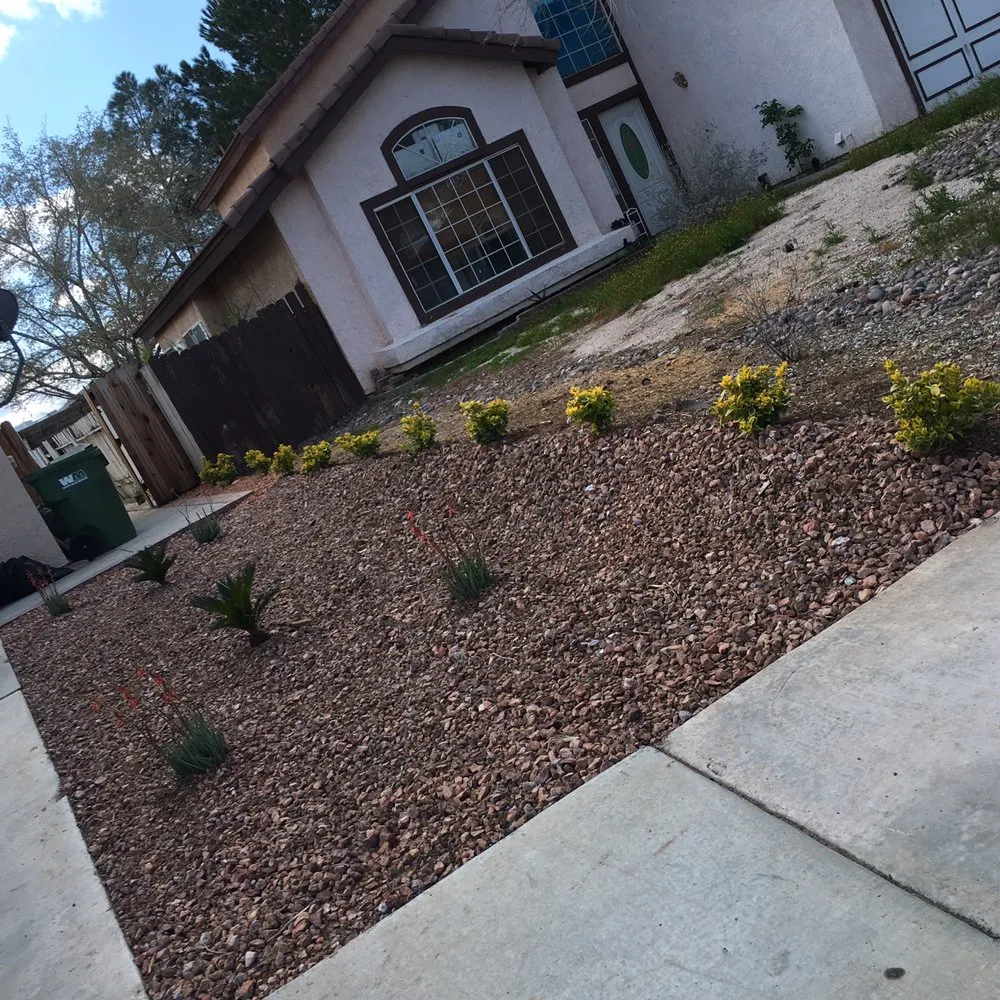 Professional lawn care service for year-round maintenance in Lancaster, CA by Jose's Landscape