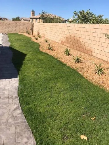 Local yard cleanup service experts serving Lancaster, CA - Jose's Landscape