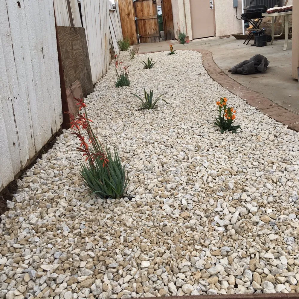 Top-rated lawn care service experts serving Lancaster, CA - Jose's Landscape