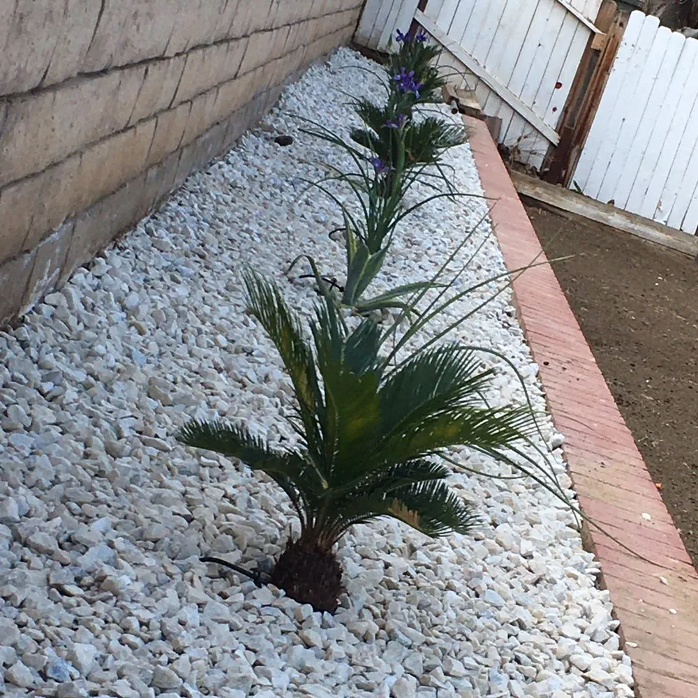 Expert residential landscaping for residential properties across Lancaster, CA - Jose's Landscape