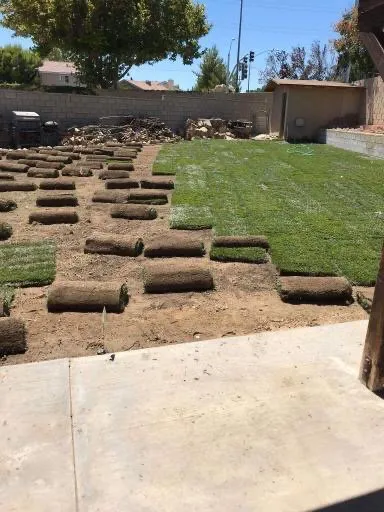 Trusted yard cleanup service experts serving Lancaster, CA - Jose's Landscape