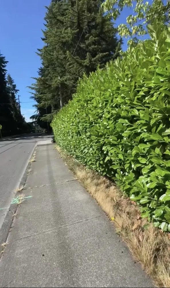 Top-rated landscape design in Snohomish, WA by Jose’s Landscape