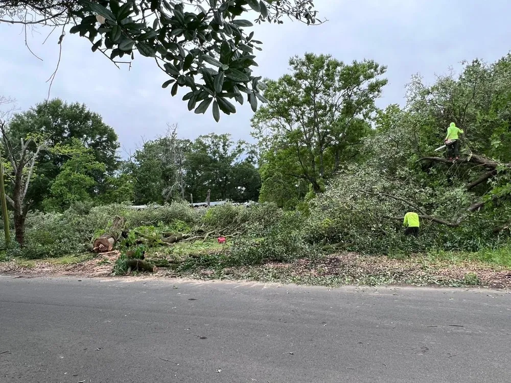 Reliable landscaping services in Baton Rouge, LA by Jose's Landscaping & Fencing Service