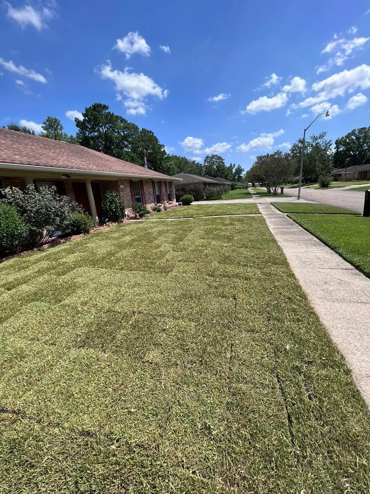Custom yard cleanup service in Baton Rouge, LA - Jose's Landscaping & Fencing Service