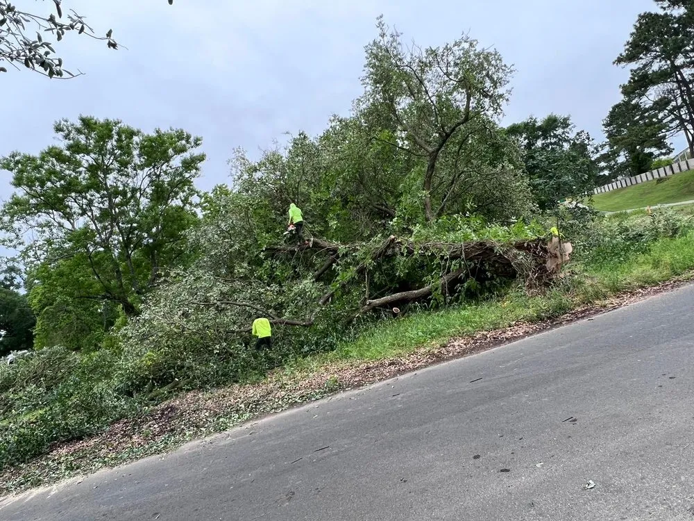 Affordable yard maintenance with custom design in Baton Rouge, LA by Jose's Landscaping & Fencing Service