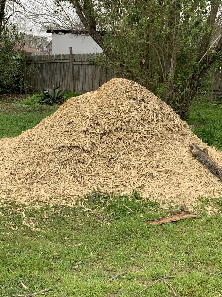 Top-rated lawn care service with custom design across Austin, TX - Jose’s landscaping and tree services