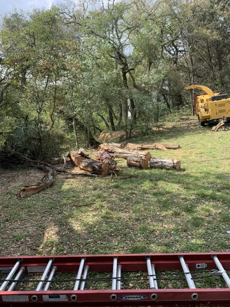 Professional landscaping services experts serving Austin, TX - Jose’s landscaping and tree services