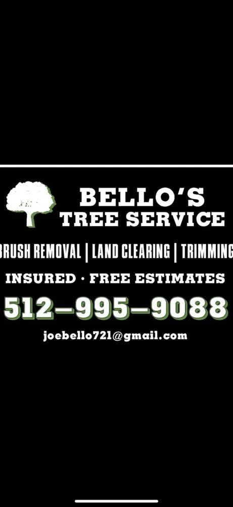 Professional yard cleanup service with custom design in Austin, TX by Jose’s landscaping and tree services