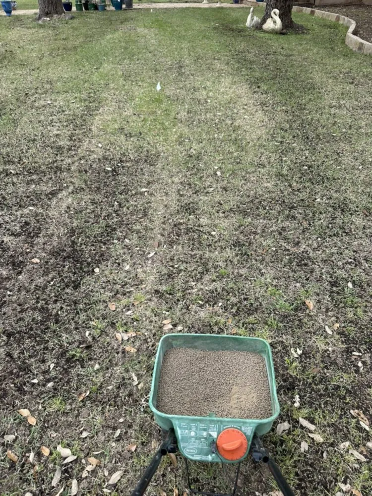 Reliable landscape design experts serving Austin, TX - Jose’s landscaping and tree services