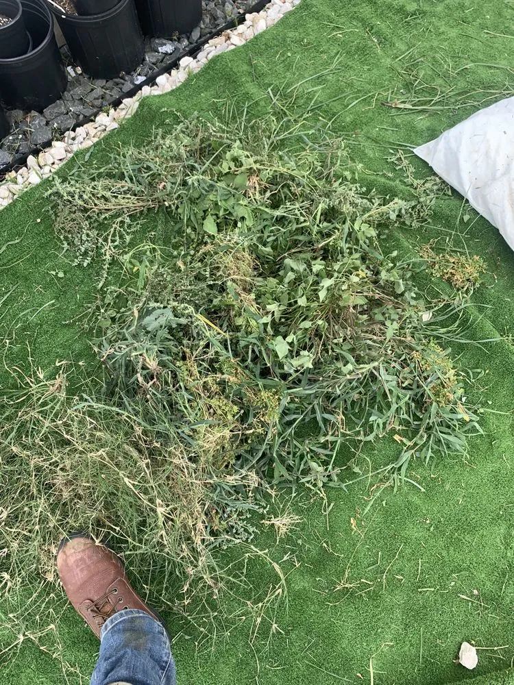 Affordable landscape installation in Austin, TX - Jose’s landscaping and tree services