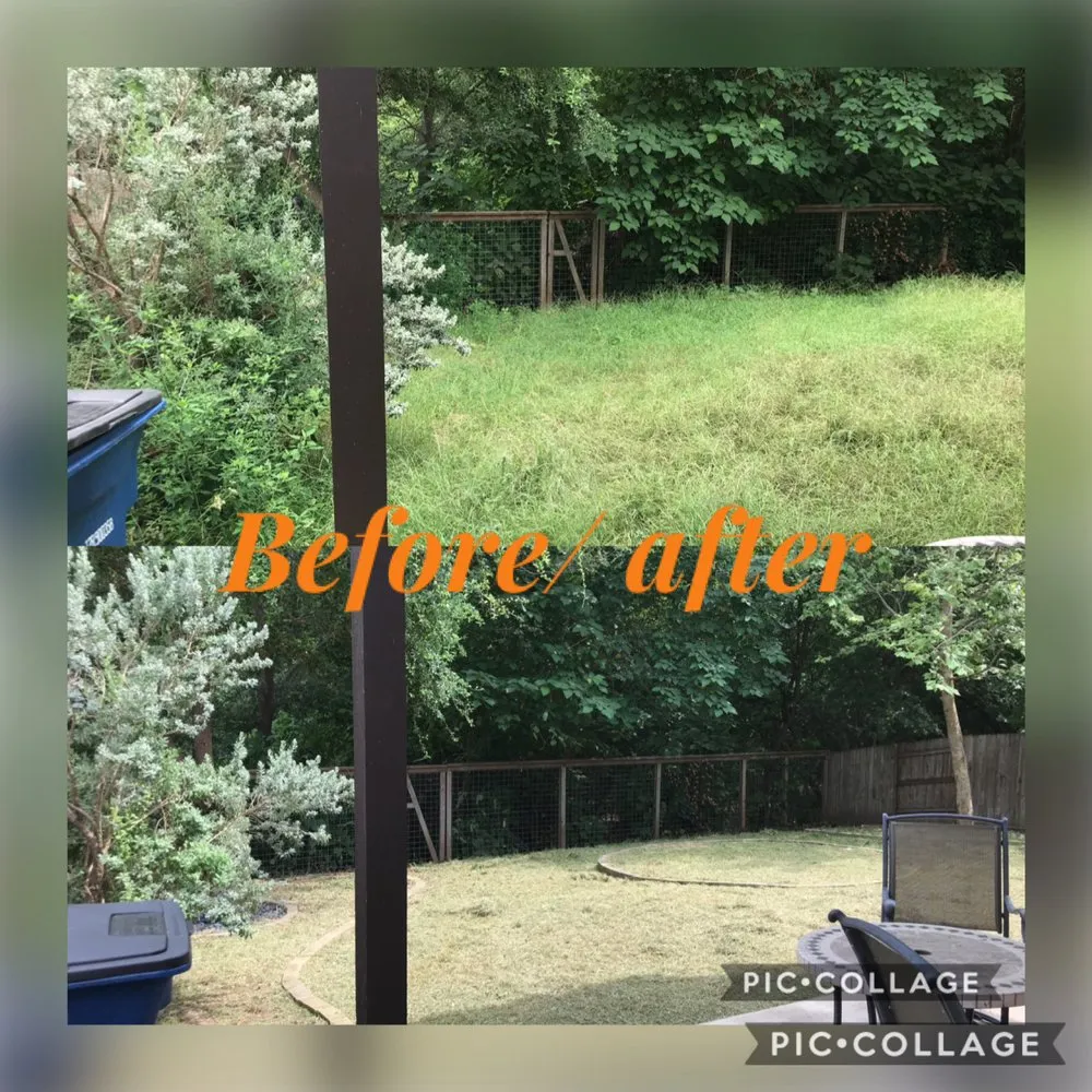 Professional outdoor landscaping for beautiful yards across Austin, TX - Jose’s landscaping and tree services