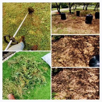 Jose’s landscaping and tree services Logo