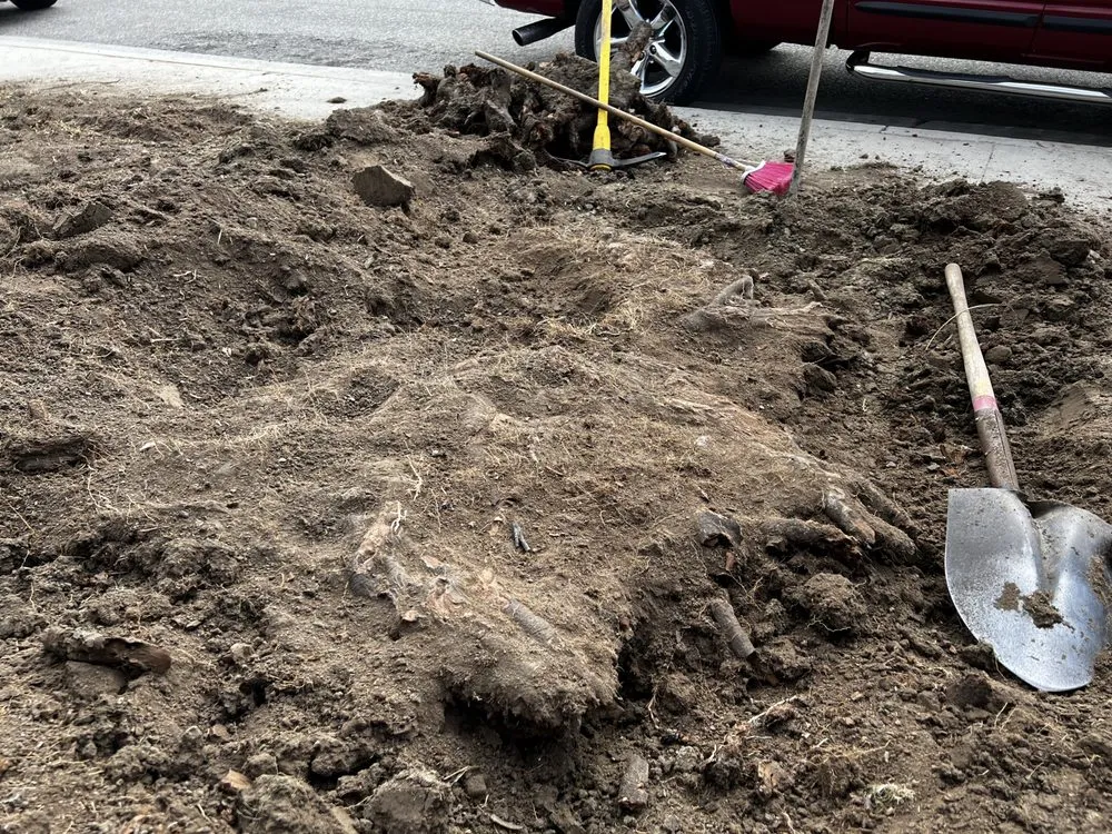 Top-rated landscaping services in Carson, CA - Jose’s landscaping