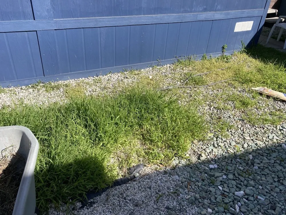 Local garden landscaping for outdoor upgrades across Carson, CA - Jose’s landscaping