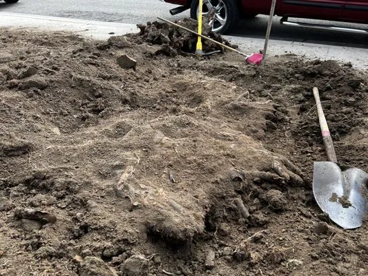 Jose’s landscaping