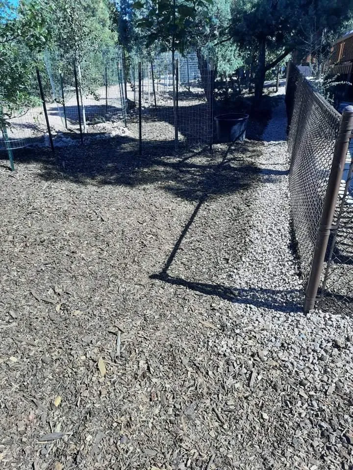Local yard cleanup service for residential properties in Lakeside, AZ by Jose’s Landscaping De Las Montanas Blancas