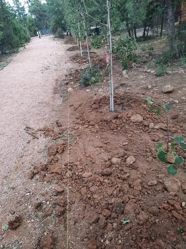 Professional landscape installation in Lakeside, AZ by Jose’s Landscaping De Las Montanas Blancas