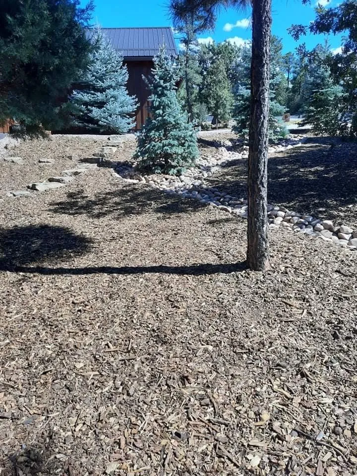 Local landscaping services in Lakeside, AZ - Jose’s Landscaping De Las Montanas Blancas