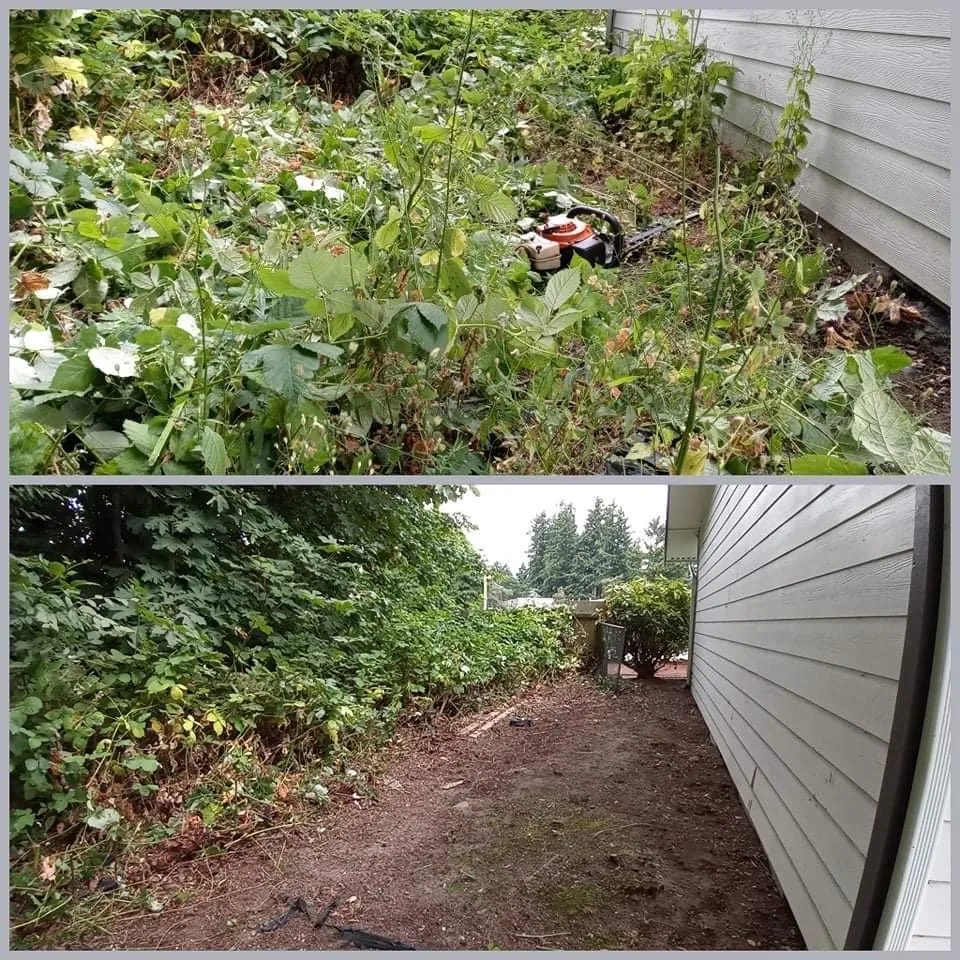 Reliable lawn mowing service experts serving Kent, WA - Jose's Landscaping