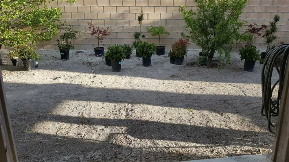 Reliable landscape design in Lancaster, CA - Jose's Landscaping