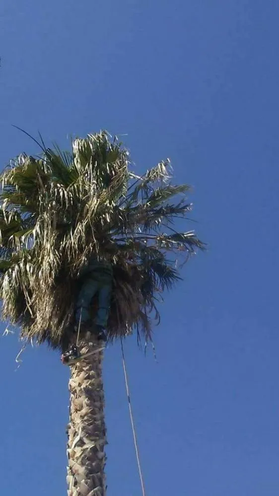 Reliable garden landscaping for residential properties in Lancaster, CA by Jose's Landscaping