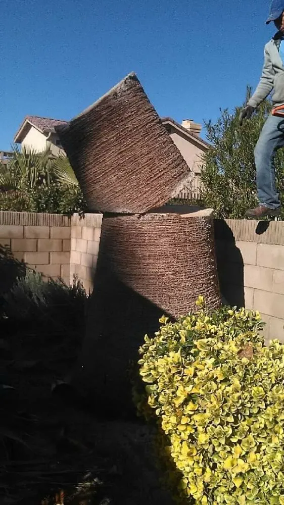 Expert landscape design in Lancaster, CA by Jose's Landscaping