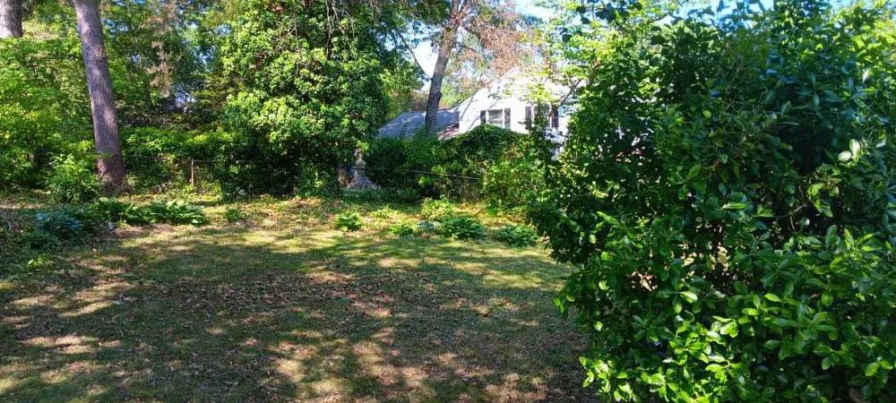 Trusted yard maintenance in Lanham, MD by Jose’s Landscaping