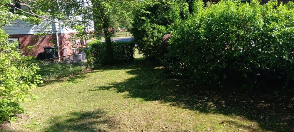 Affordable yard maintenance in Lanham, MD by Jose’s Landscaping