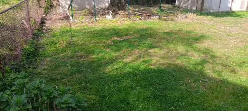 Top-rated residential landscaping for year-round maintenance in Lanham, MD by Jose’s Landscaping