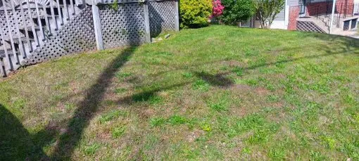 Trusted lawn care service near you across Lanham, MD - Jose’s Landscaping