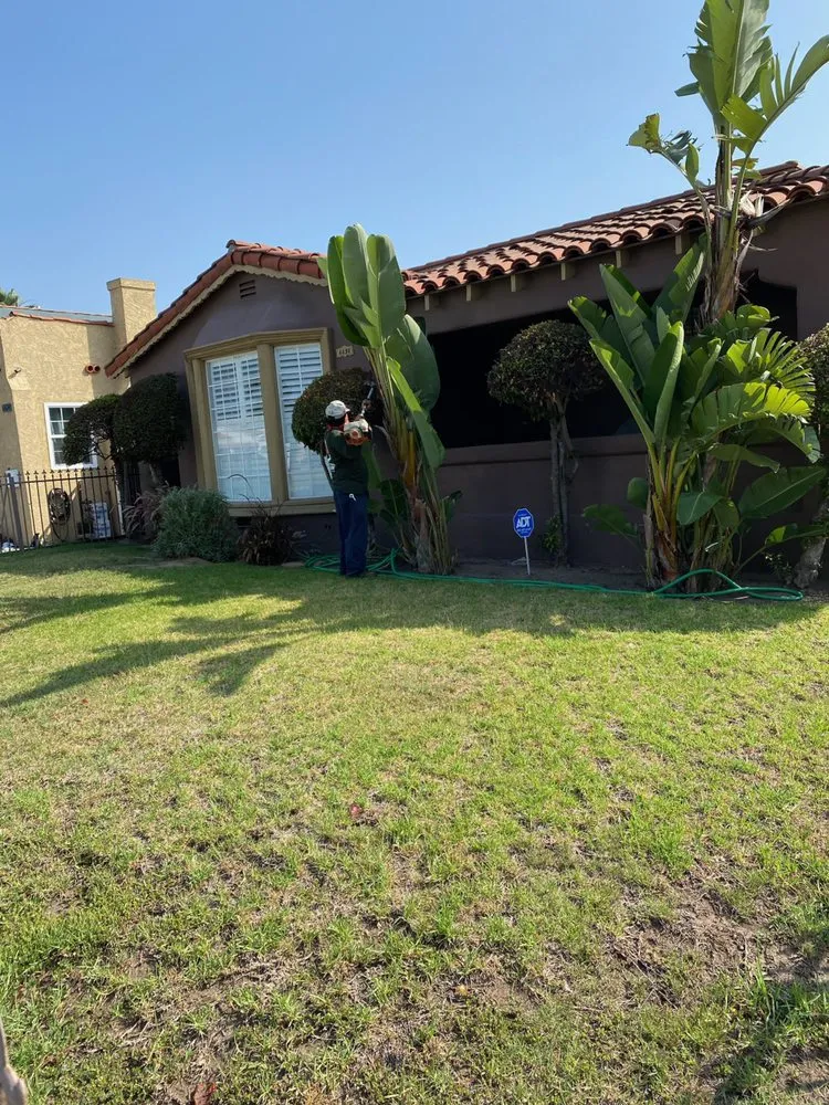 Top-rated outdoor landscaping in Los Angeles, CA by Jose’s Landscaping