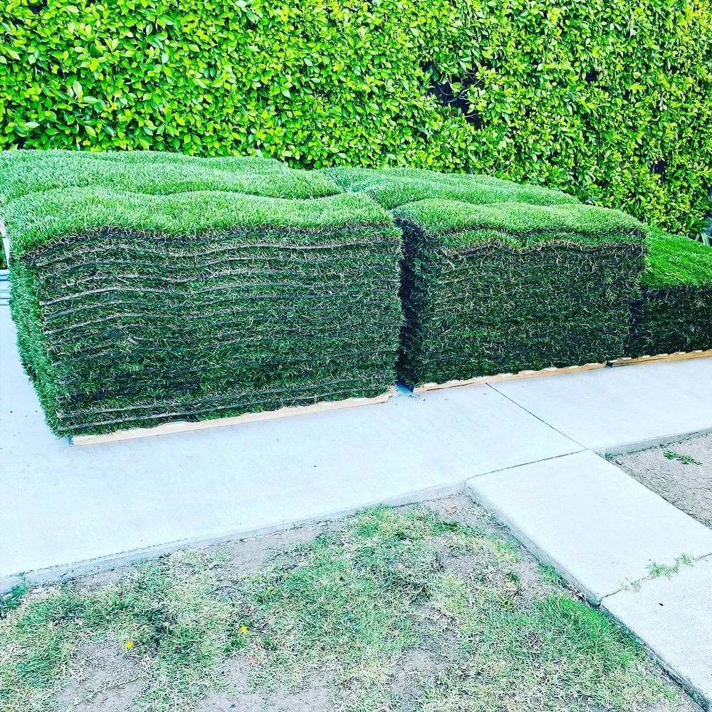Custom lawn mowing service in Los Angeles, CA - Jose’s Landscaping
