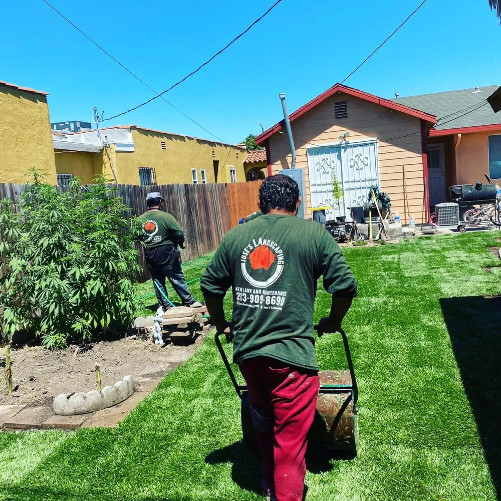 Trusted landscape installation in Los Angeles, CA - Jose’s Landscaping