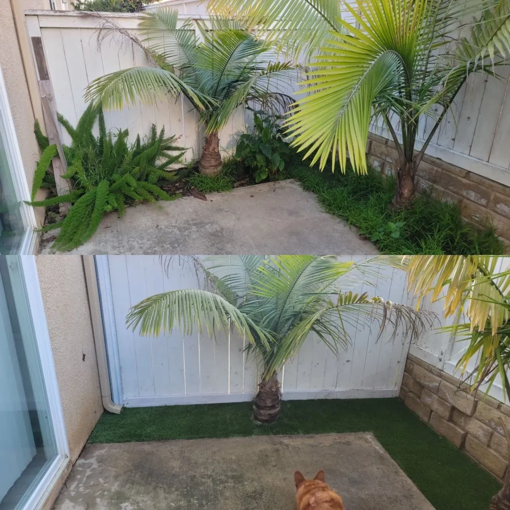 Reliable yard cleanup service in Oxnard, CA by Jose's Landscaping