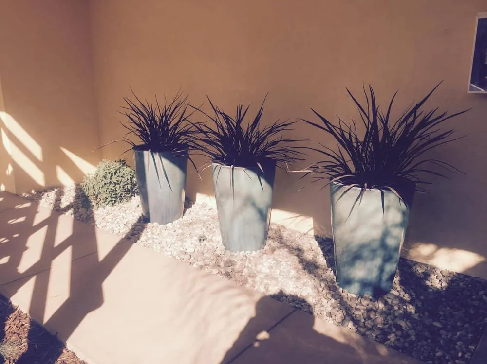 Affordable outdoor landscaping for year-round maintenance across Oxnard, CA - Jose's Landscaping