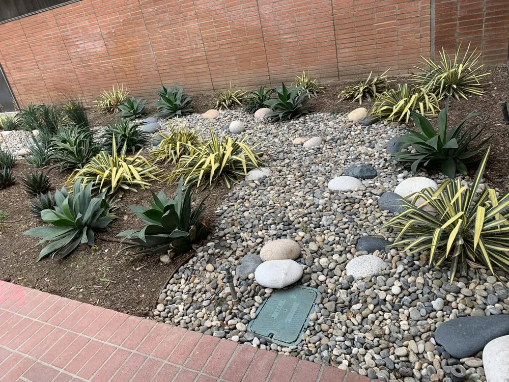 Expert lawn care service near you in Oxnard, CA by Jose's Landscaping