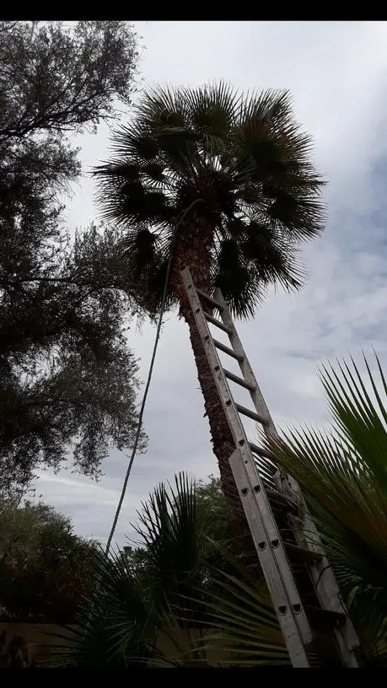 Custom garden landscaping experts serving Phoenix, AZ - Jose's Landscaping